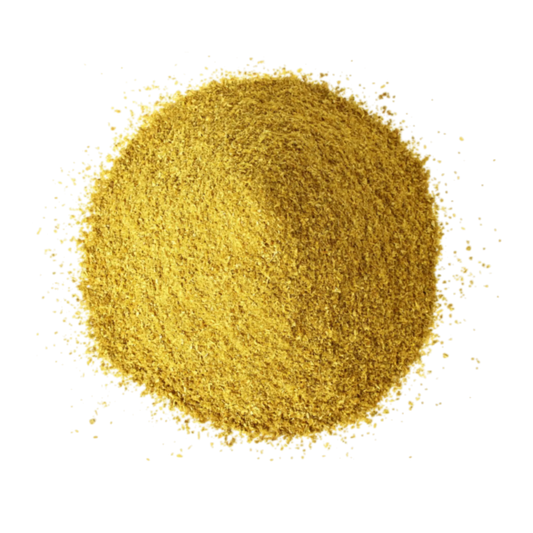 Coriander Powder Manufacturer Exporter India Spice Nest bulk supplier premium quality