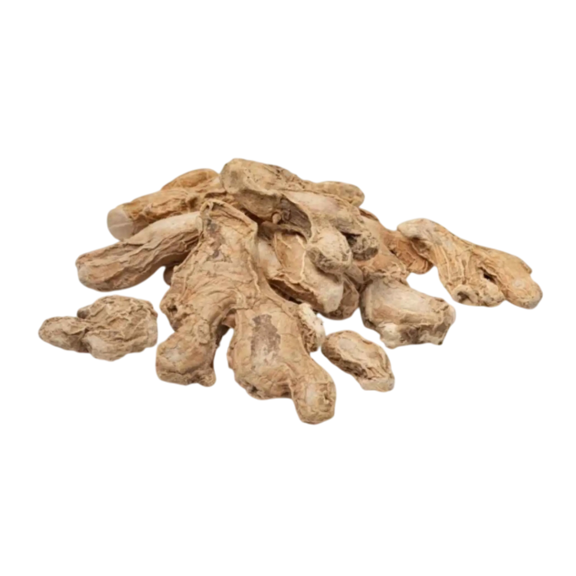 Dry Ginger Manufacturer Exporter India Spice Nest bulk supplier premium quality