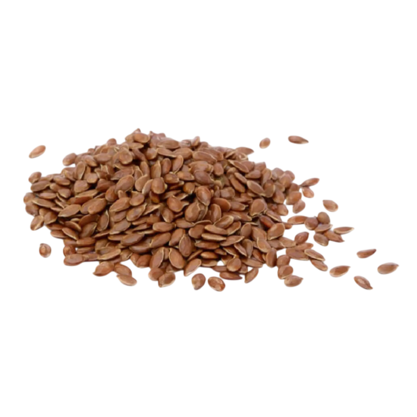Bulk Flax Seeds supplier for B2B businesses