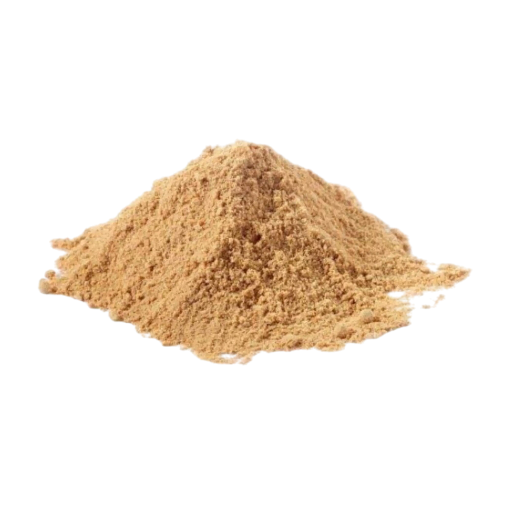 Ginger Powder Manufacturer Exporter India Spice Nest bulk supplier premium quality