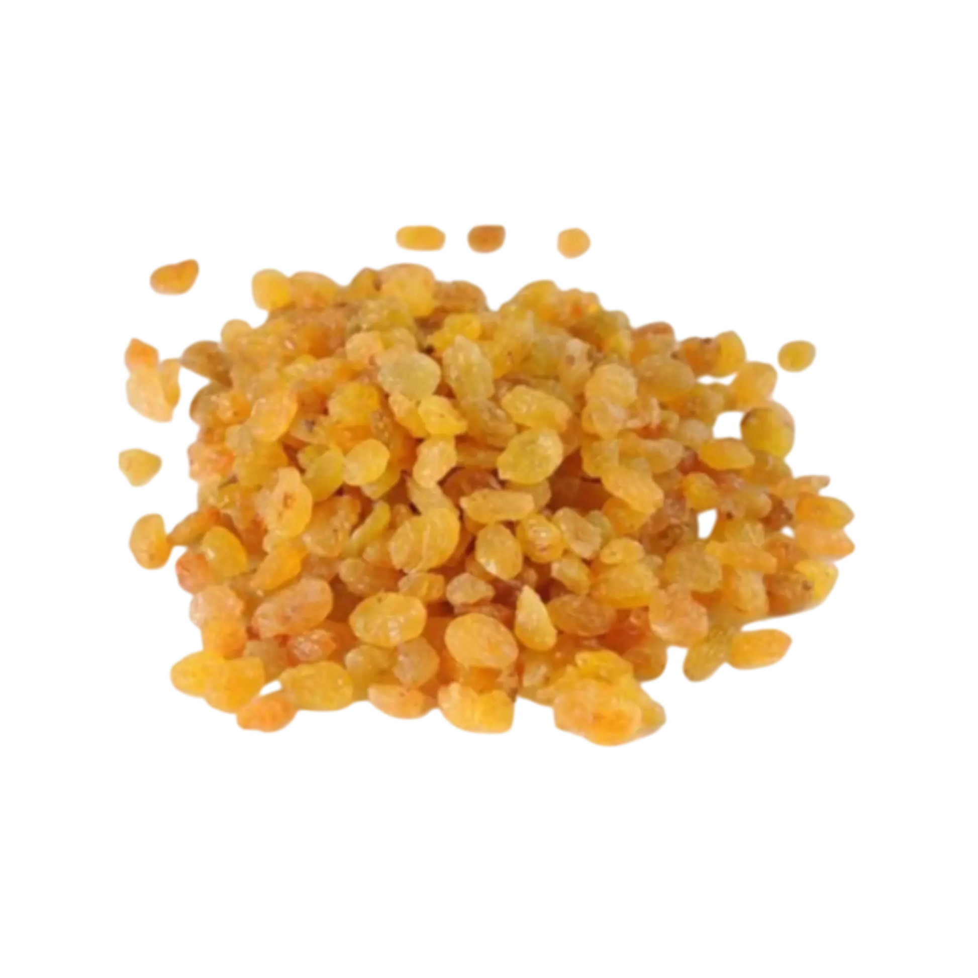 Garbled Raisin Golden Raisins Manufacturer & Exporter | Premium Quality Bulk Supplier ...