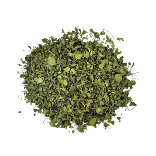 Export quality Kasuri Methi fenugreek leaves from India
