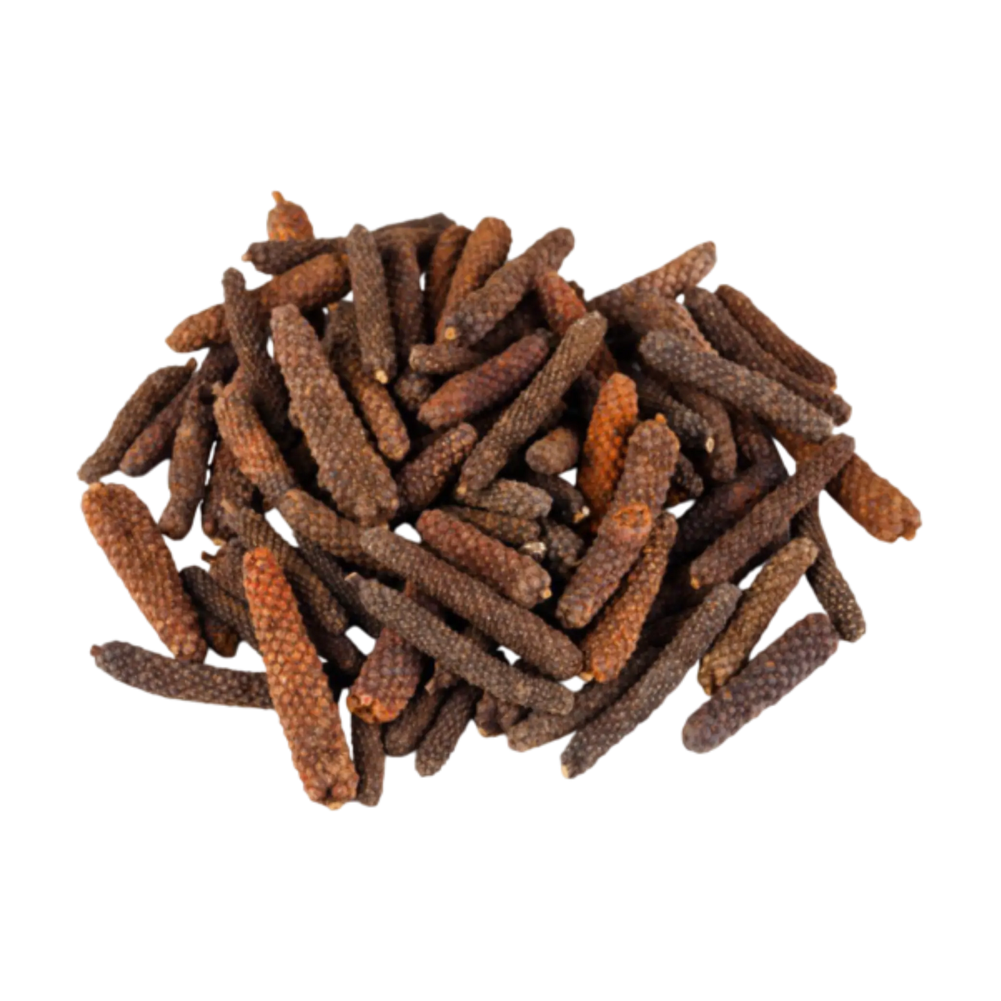 High-quality long pepper powder in bulk, perfect for export and B2B customers.