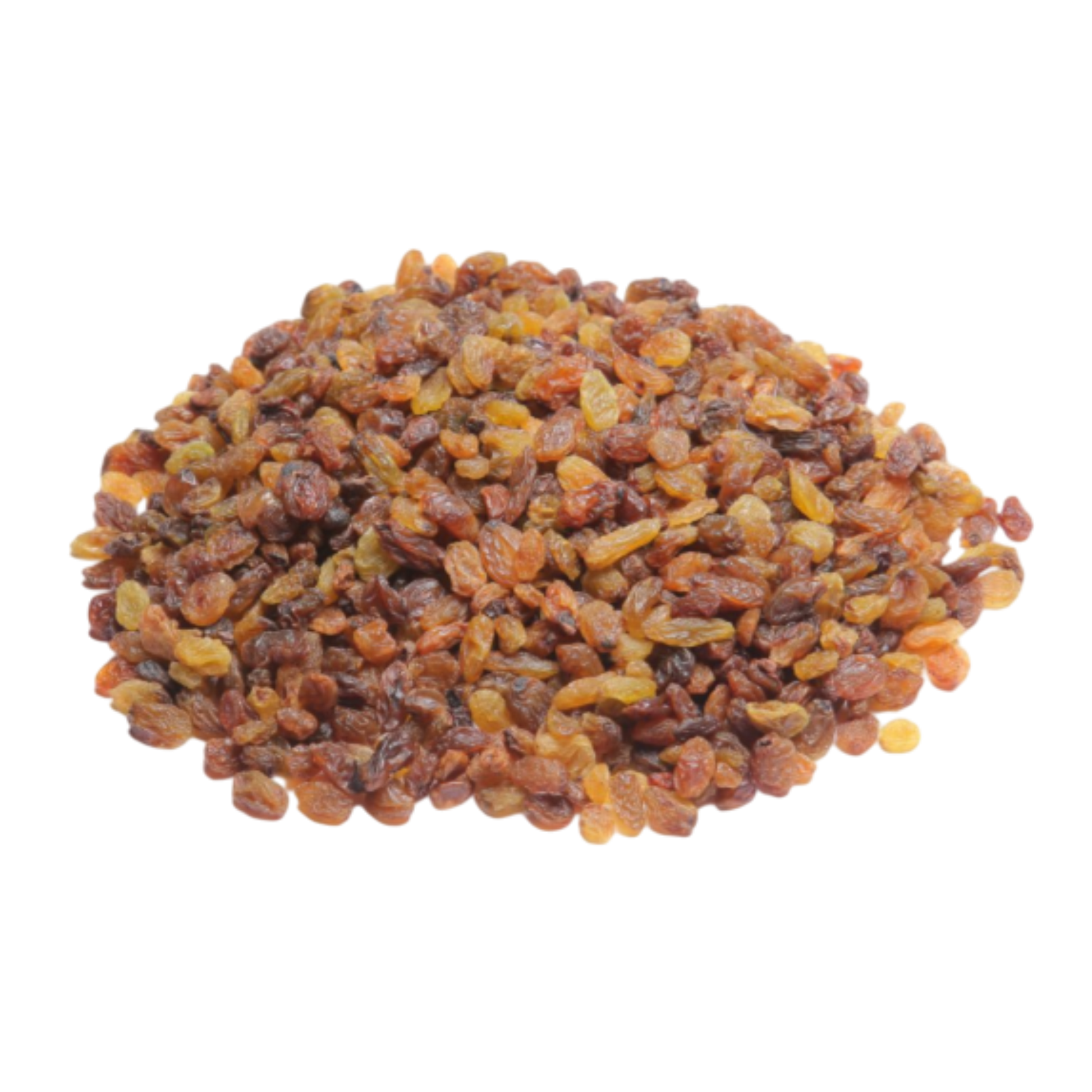 Premium Malayar Raisins export quality