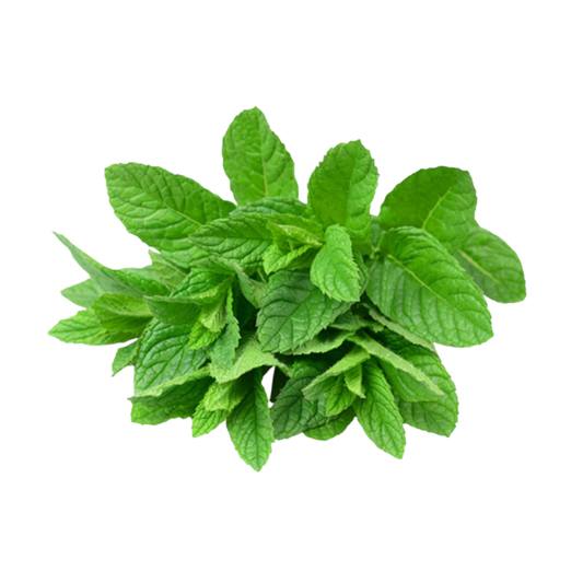 Mint Leaves