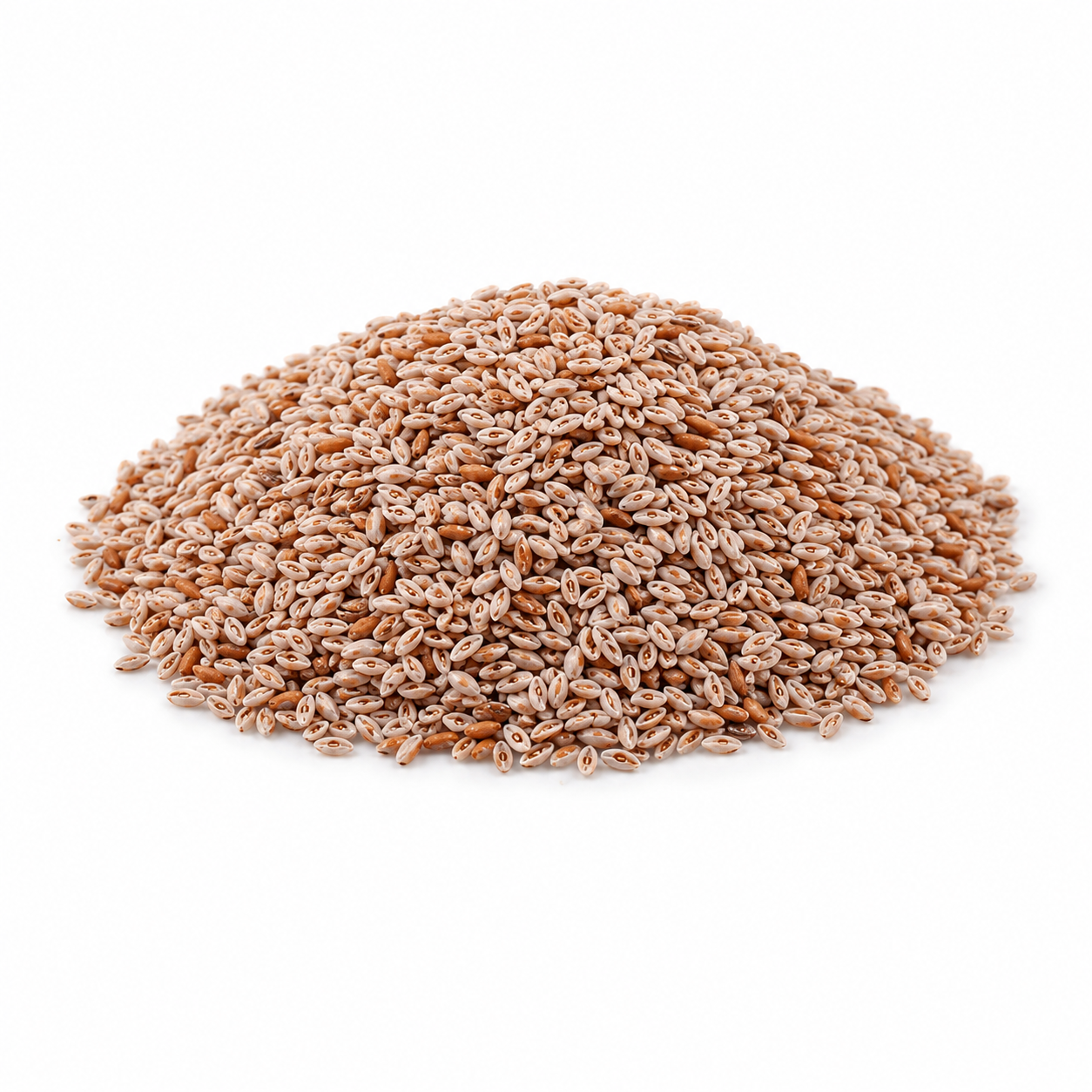 Psyllium Seeds