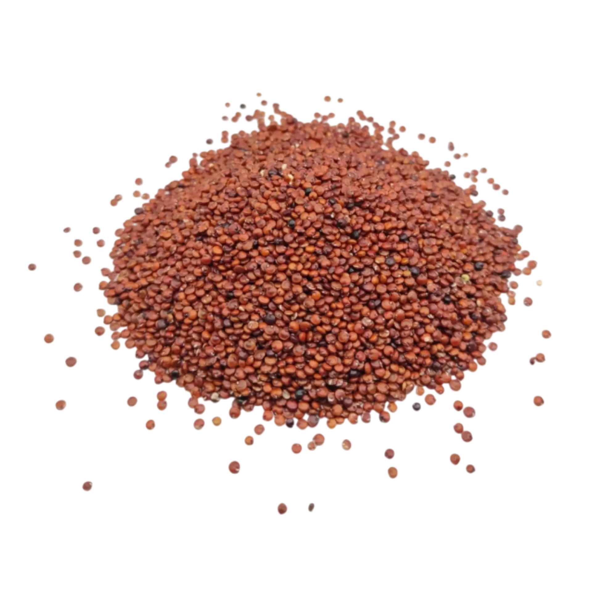 Bulk red quinoa seeds for wholesale and private label supply