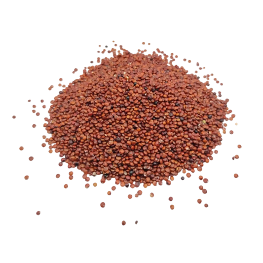 Bulk red quinoa seeds for wholesale and private label supply