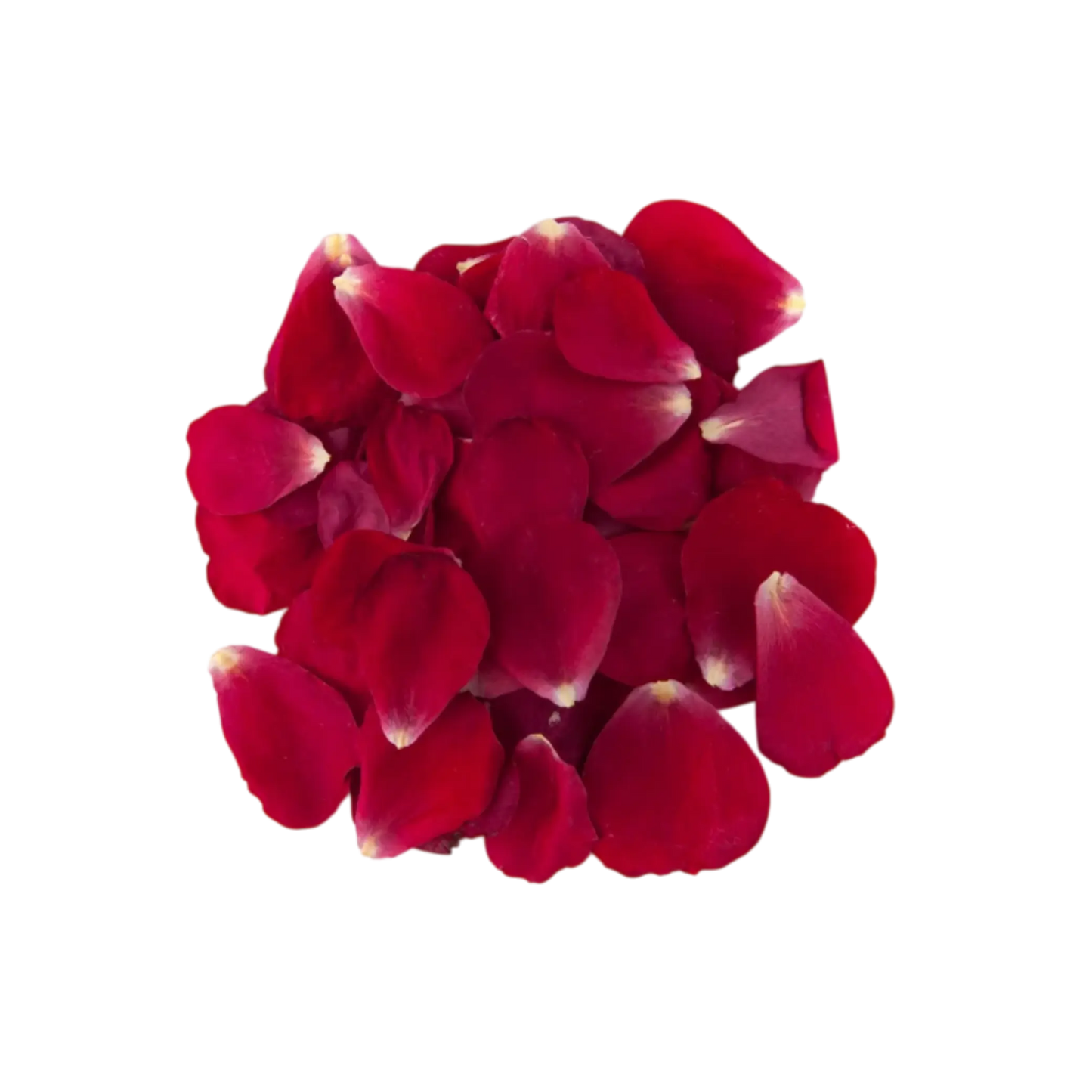 Premium dried rose petals for sale in bulk
