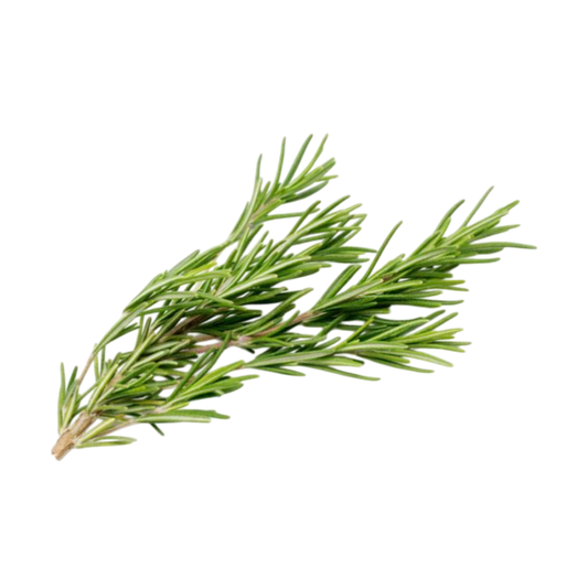 Rosemary