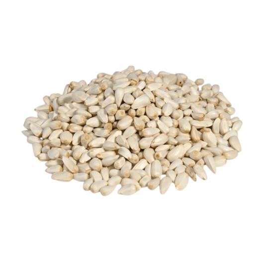 Safflower seeds bulk packaging for wholesalers and exporters
