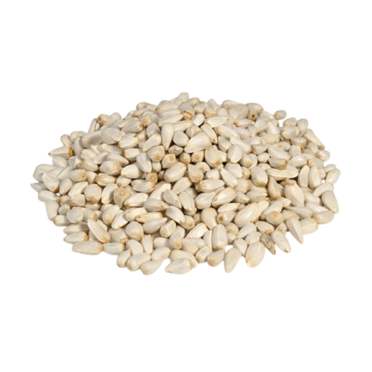 Safflower Seeds