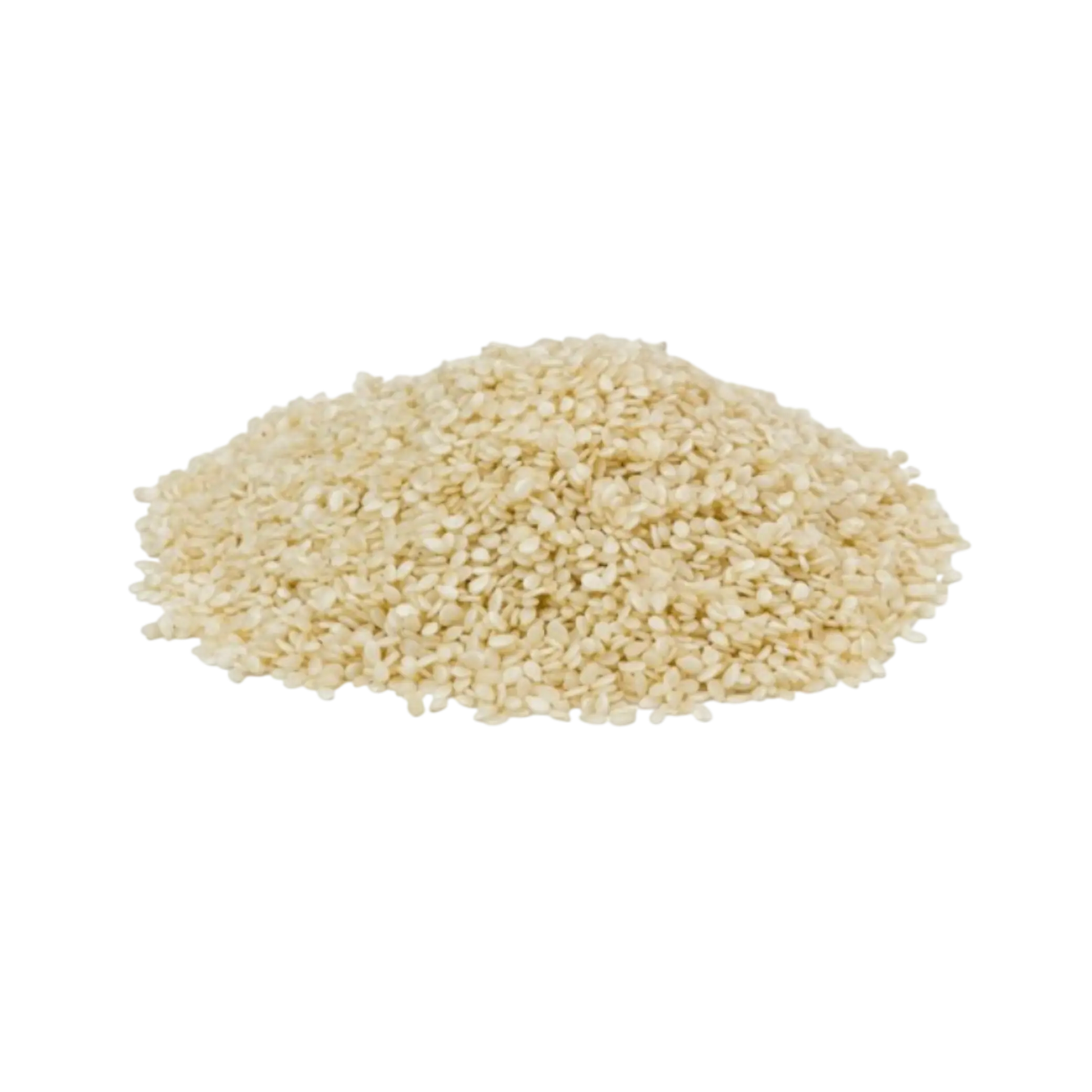 Sesame seeds warehouse stock for export