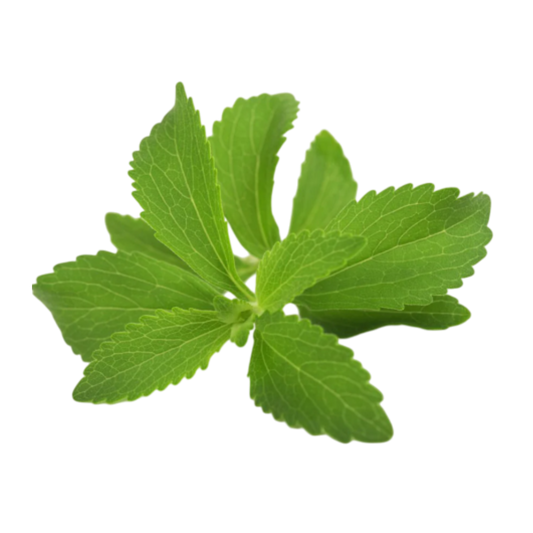 Stevia Leaves