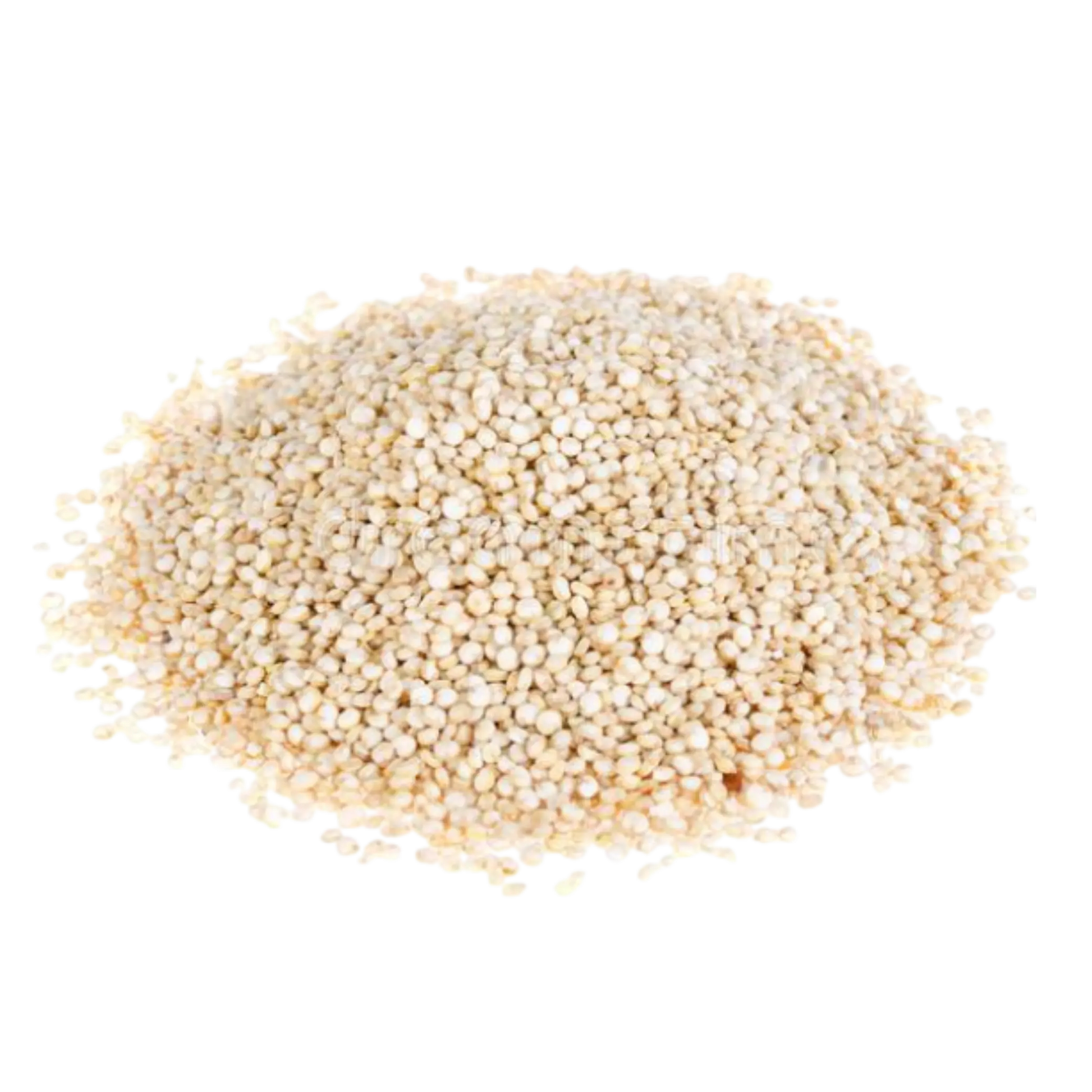premium quality white quinoa seeds manufacturer India