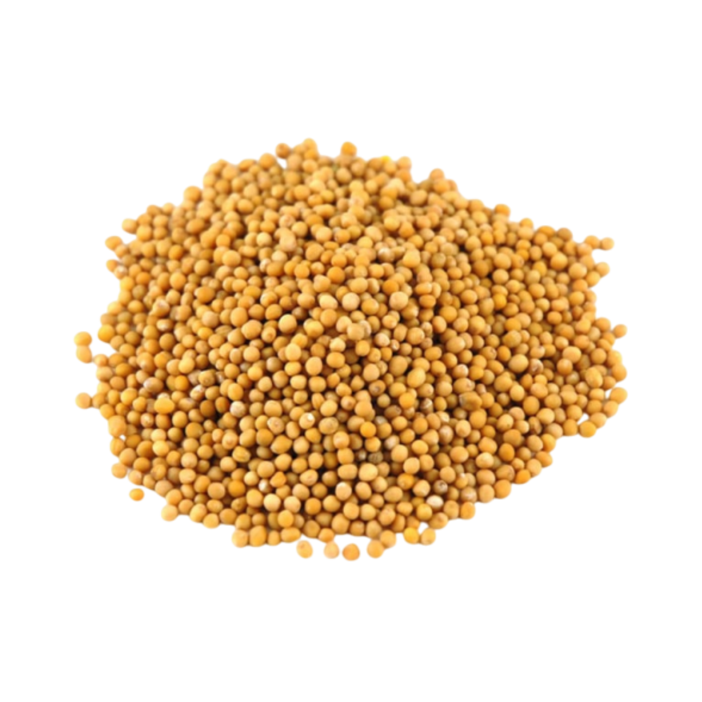 Private label yellow mustard seeds packing option for bulk orders