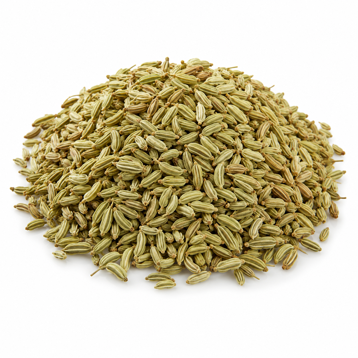 Fennel Seeds