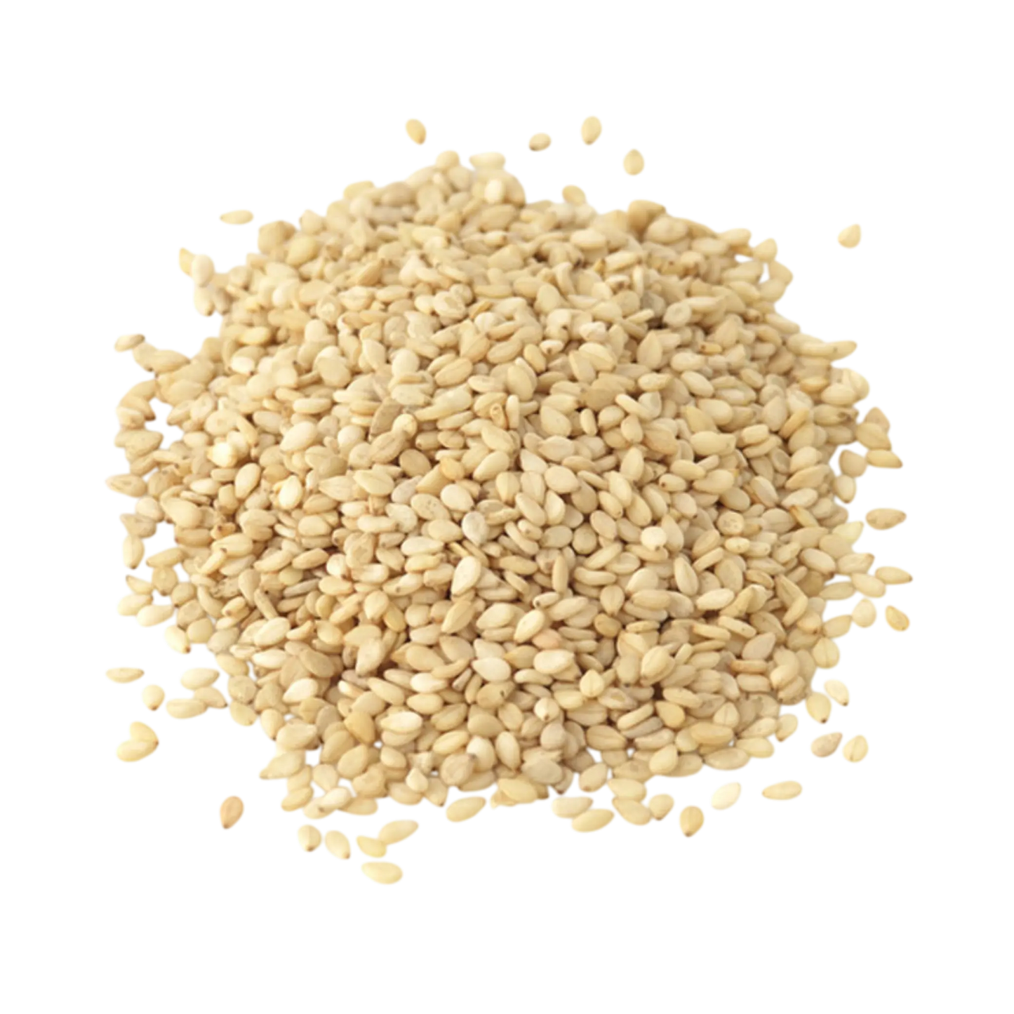 Export-quality hulled sesame seeds packed for bulk supply
