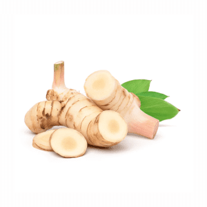 galangal root suppliers