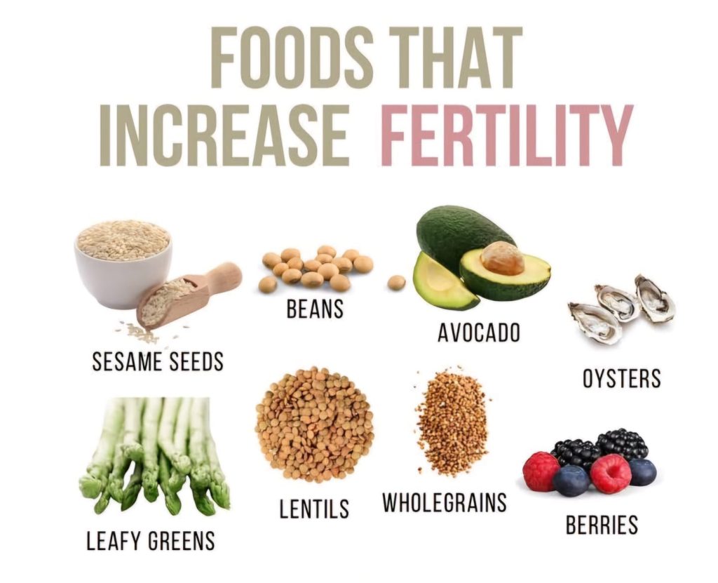 FOODS THAT INCREASE FERTILITY