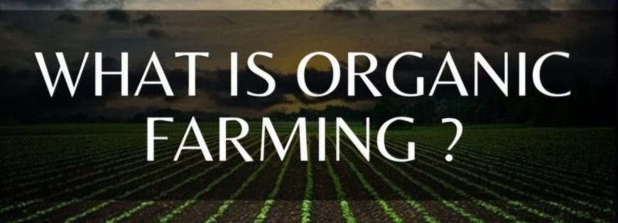 agriculture organic farming