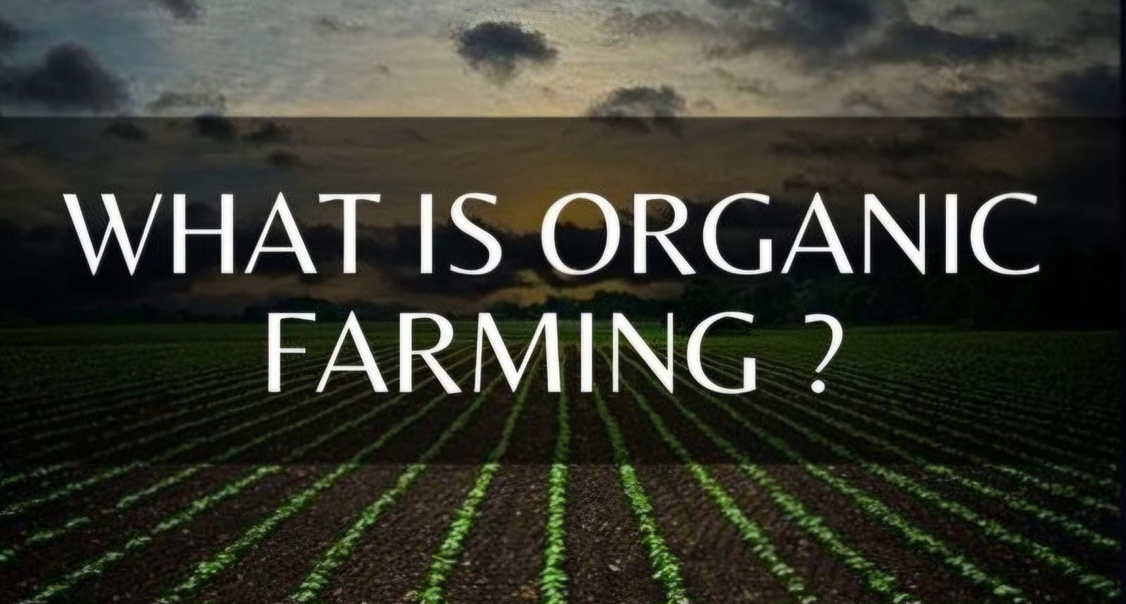 agriculture organic farming