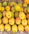 Top Alphonso Mango Pulp Manufacturer