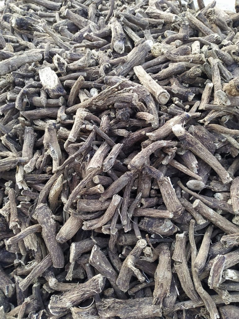 costus root