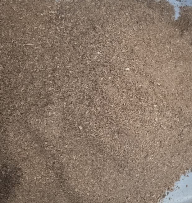 costus root powder