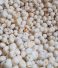 Top Phool Makhana / Fox Nut / Lotus Seed Suppliers in India: Top Manufacturers and Exporters Dominating the Market